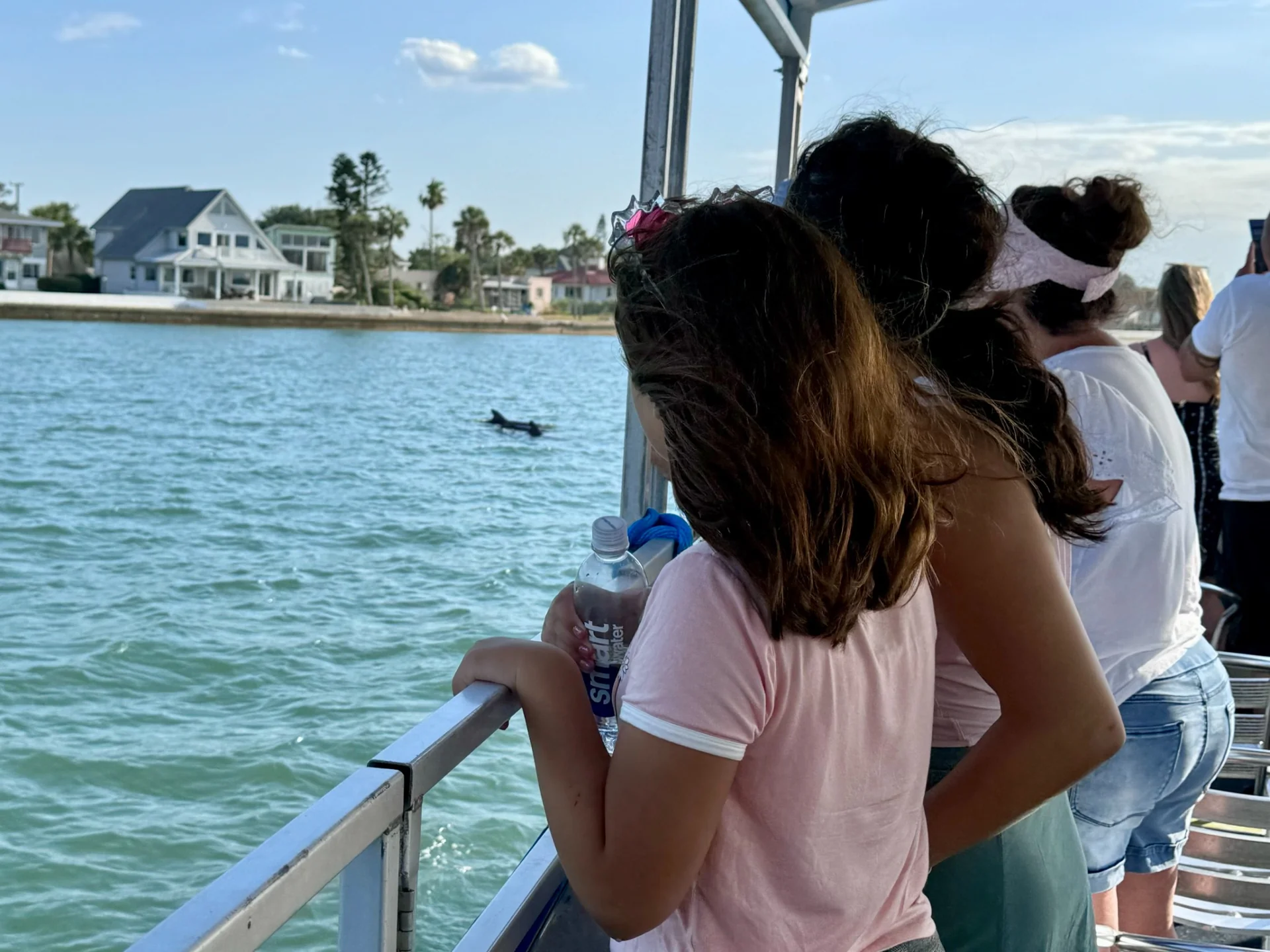 Children watching a dolphin beside an Adventure Boat Tours cruise